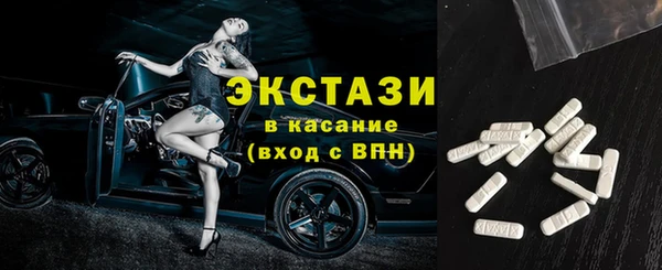 гашик Алексин