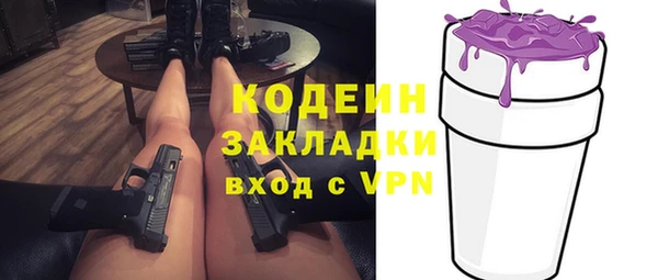 гашик Алексин