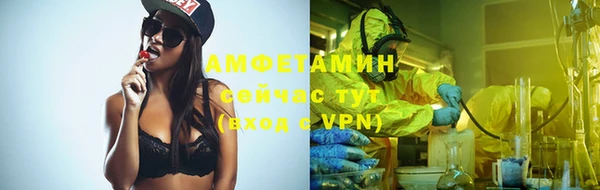 гашик Алексин