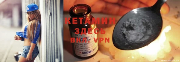 гашик Алексин