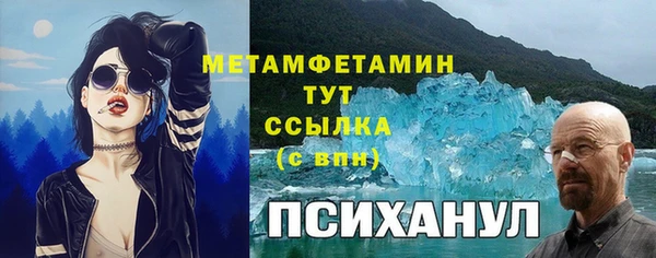 гашик Алексин