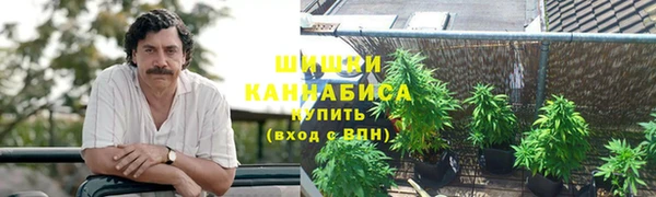 гашик Алексин